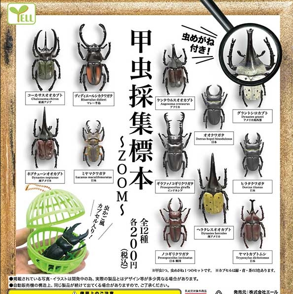 甲虫採集標本 〜ZOOM〜』5月再販予定。虫かご風カプセル入り 