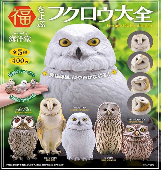 福をよぶ フクロウ大全』発売。実物同様、顔や首がまわる