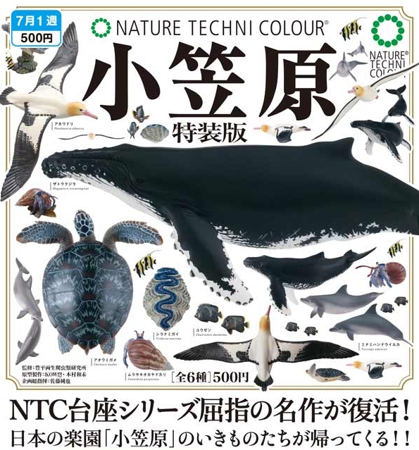 人気沸騰ブラドン ネイチャーテクニカラー 小笠原 特装版』7月発売予定。日本の その他